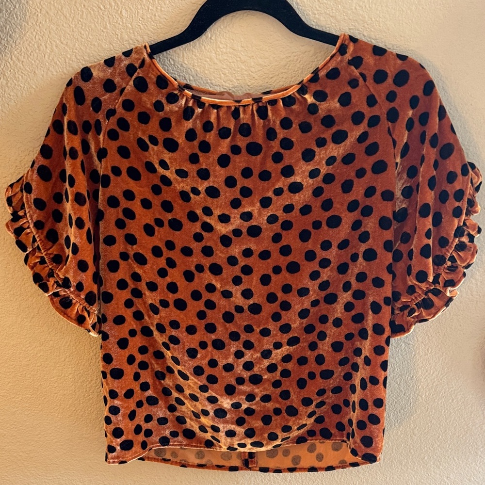 Madewell Brown Polka Dot Blouse